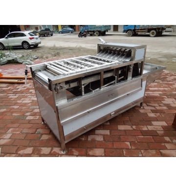 Máy bóc vỏ trứng gà, vịt