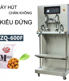 Máy Hút Chân Không Công Nghiệp DZQ 600F