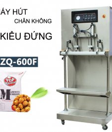 Máy Hút Chân Không Công Nghiệp DZQ 600F